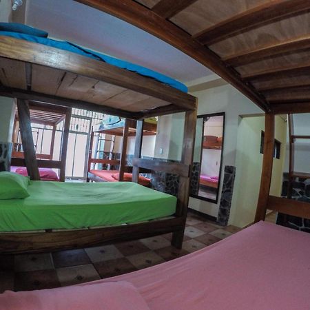Hostel De Haan ハコ エクステリア 写真